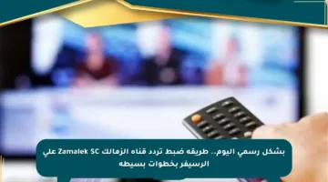 بشكل رسمي اليوم.. طريقة ضبط تردد قناة الزمالك Zamalek SC على الرسيفر بخطوات بسيطة